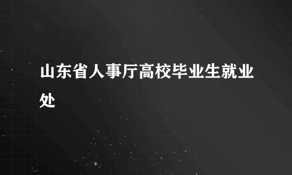 山东省人事厅高校毕业生就业处