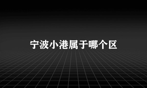 宁波小港属于哪个区