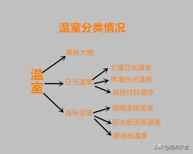 蔬菜大棚和蔬菜温室的区别是什么？
