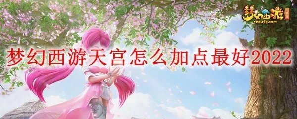 梦幻西游天宫怎么加点最好2022