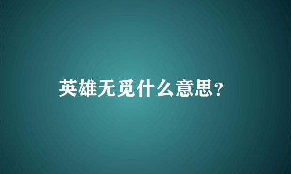 英雄无觅什么意思？