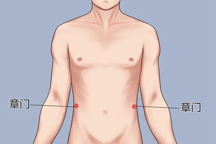 章门的准确位置图和作用和按摩方法