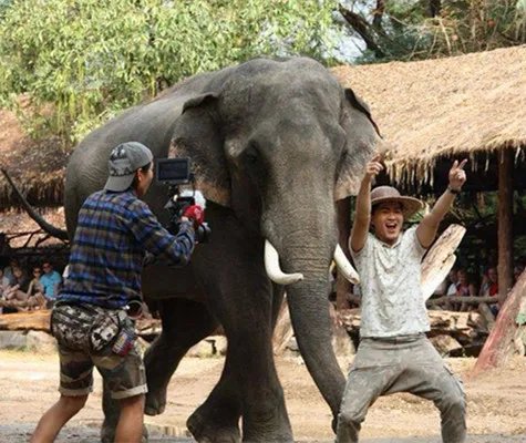 爱的气球泰剧热播 看痞小子如何追到女神