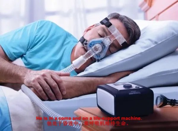 isin是什么意思英语