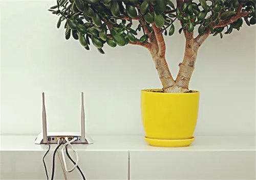 电信路由器怎么设置