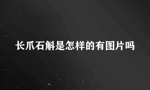 长爪石斛是怎样的有图片吗