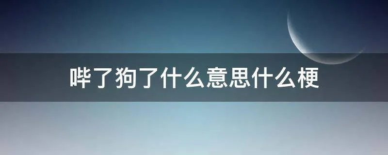 哔了狗了什么意思什么梗