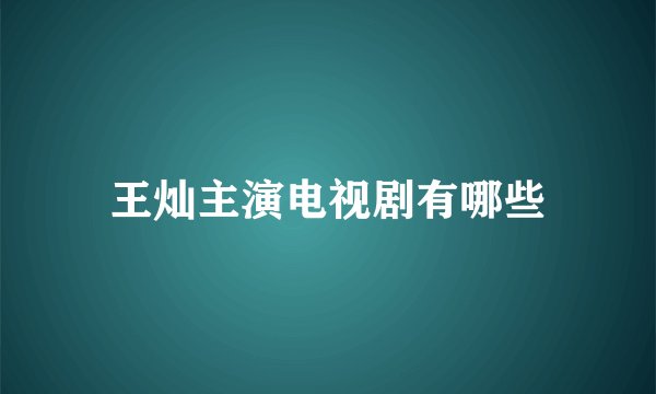 王灿主演电视剧有哪些