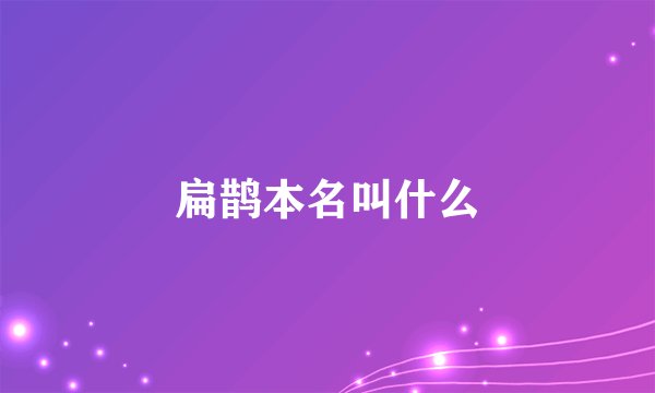 扁鹊本名叫什么