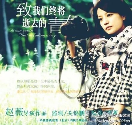 电影《致青春》的主要剧情及主演