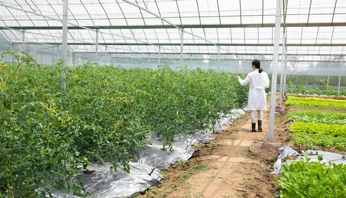 雨棚尺寸 雨棚尺寸规范