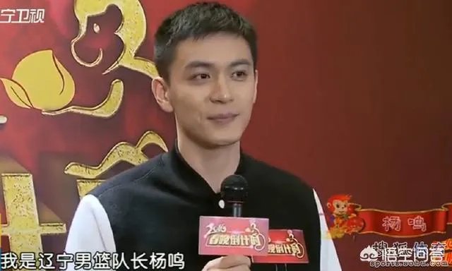 辽篮队长杨鸣正式宣布退役，如何评价杨鸣的职业生涯？