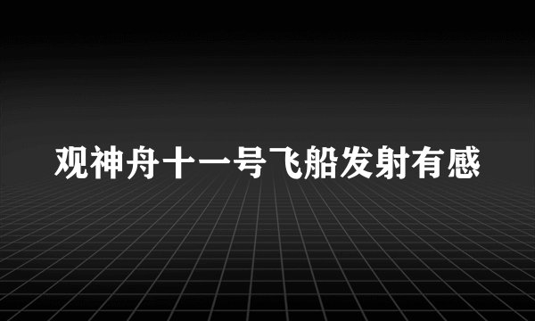 观神舟十一号飞船发射有感