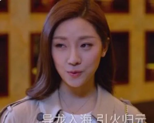 导龙入海是什么意思