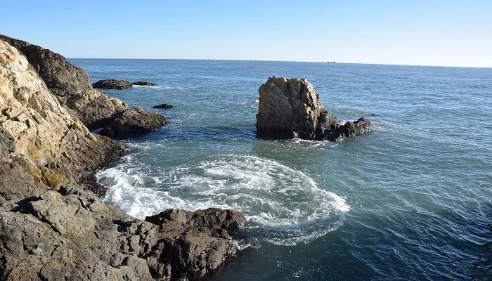 黄河注入什么海