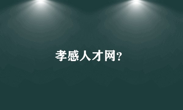孝感人才网？