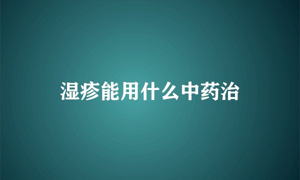 湿疹能用什么中药治