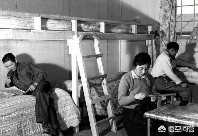 美国陆军442团，二战中为何只能在欧洲战场作战？