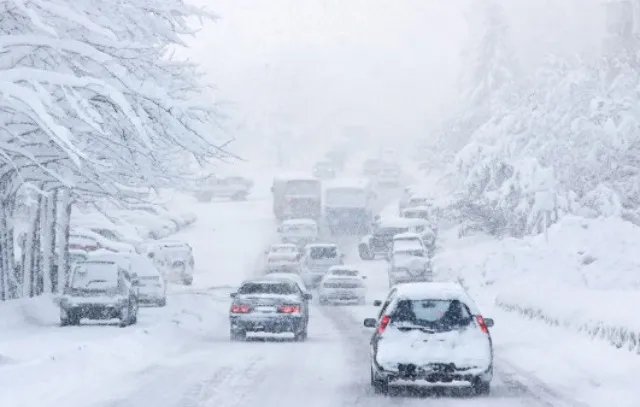 大雪节气哪些食物可以有效进补 大雪养生必吃三种食疗