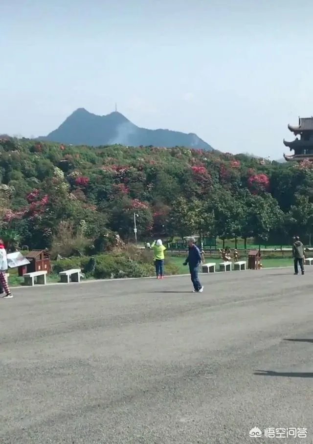 你知道中国百里杜鹃花都在哪里吗？
