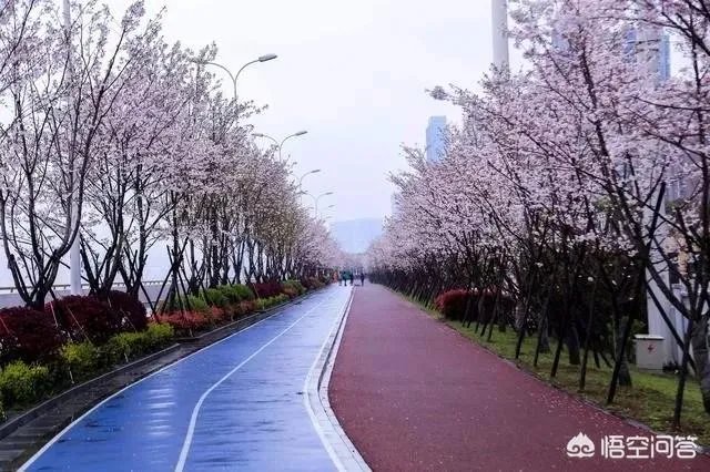 杭州的工资水平怎么样？