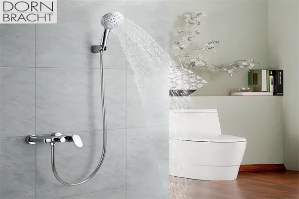 花洒品牌十大排名榜-世界花洒品牌十大排名榜