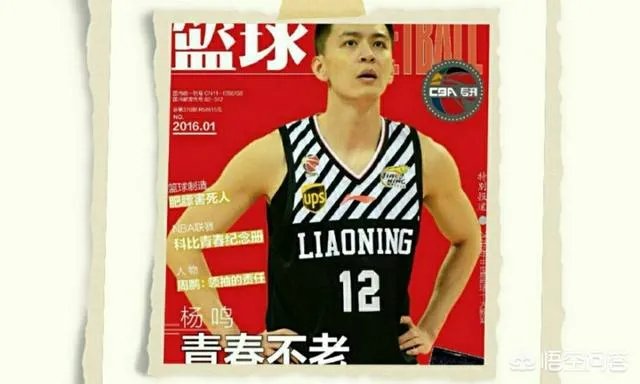 辽篮队长杨鸣正式宣布退役，如何评价杨鸣的职业生涯？