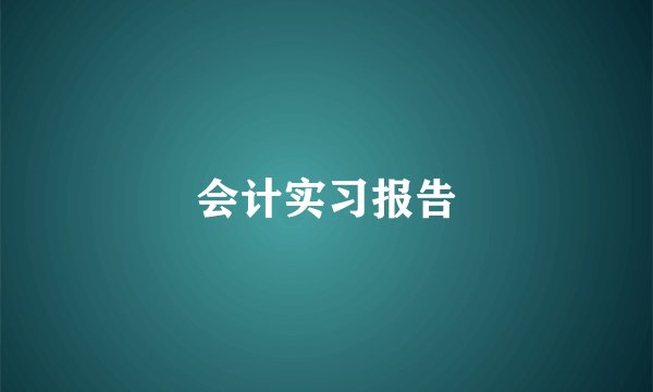 会计实习报告