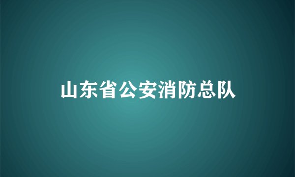 山东省公安消防总队