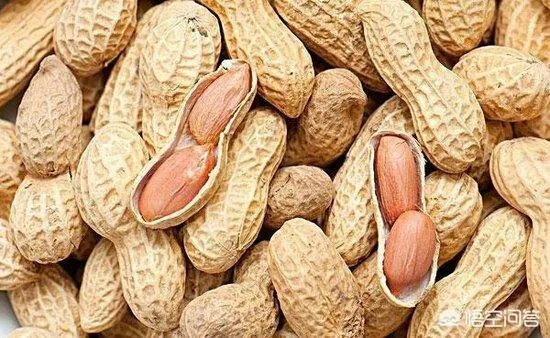 最新的花生价格是多少？行情如何？