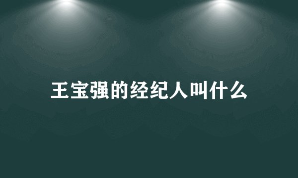 王宝强的经纪人叫什么