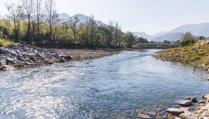 蔓延和漫延的区别是什么