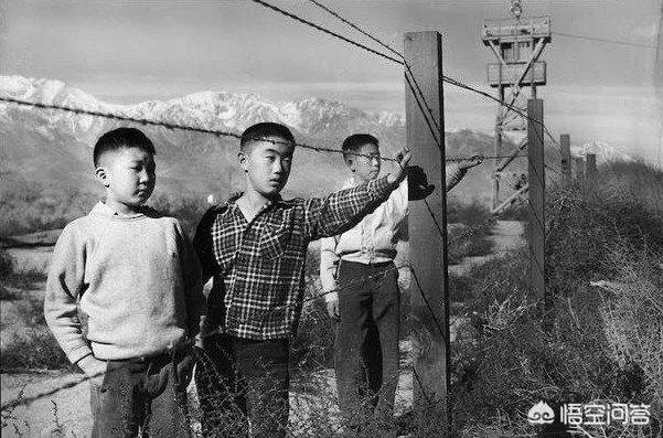 美国陆军442团，二战中为何只能在欧洲战场作战？