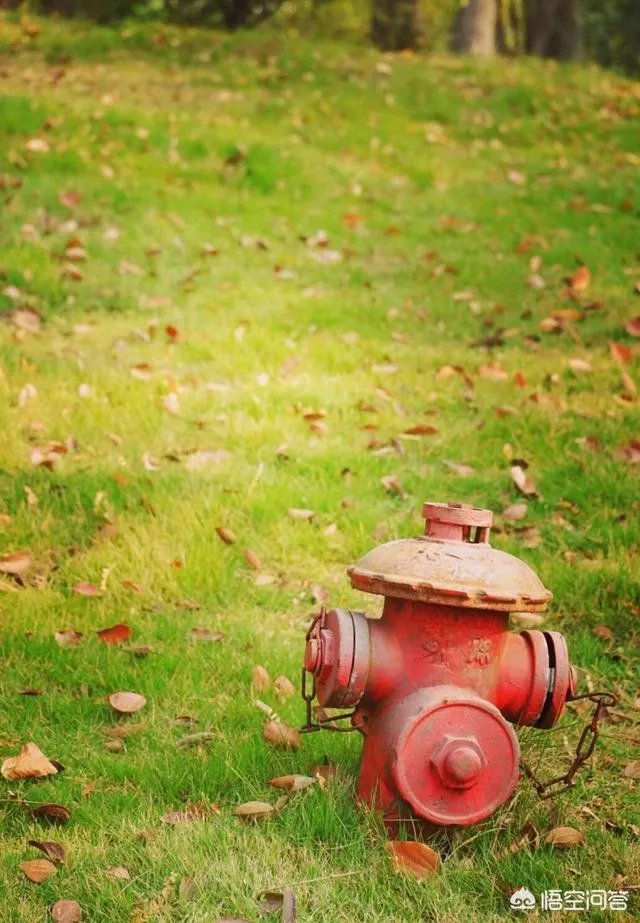 微单与手机哪个更好？