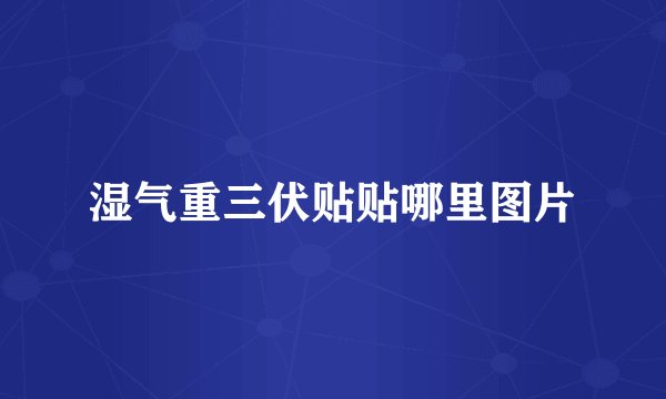 湿气重三伏贴贴哪里图片