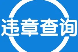 sc122govcn四川是真的交管官网吗