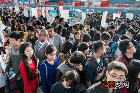 杭州市人才市场电话，杭州人才市场网的客服电话是多少?