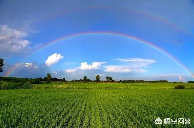 用一句话形容妈妈与爸爸的爱情?