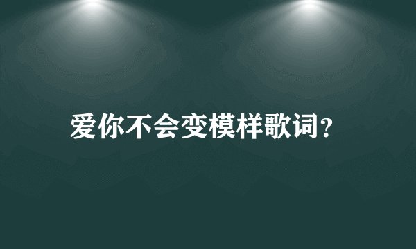 爱你不会变模样歌词？