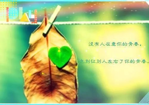 狼王出大狱萧战小说 上门女婿萧战苏沐秋全章节阅读