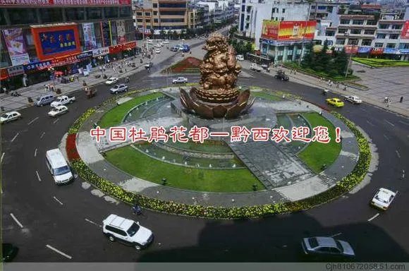 你知道中国百里杜鹃花都在哪里吗？