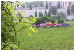 大连市育明高中怎么样?