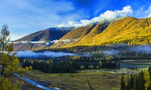 新疆租车多少钱一天？