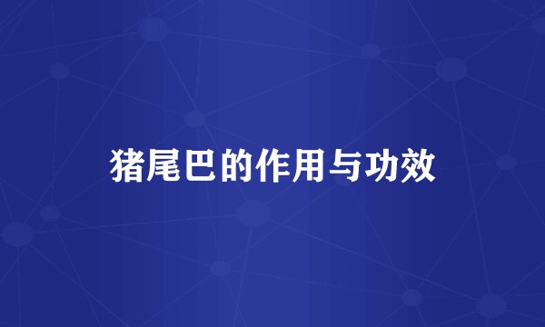 猪尾巴的作用与功效