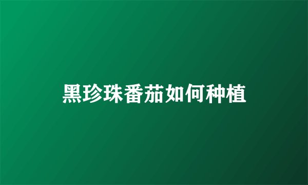 黑珍珠番茄如何种植