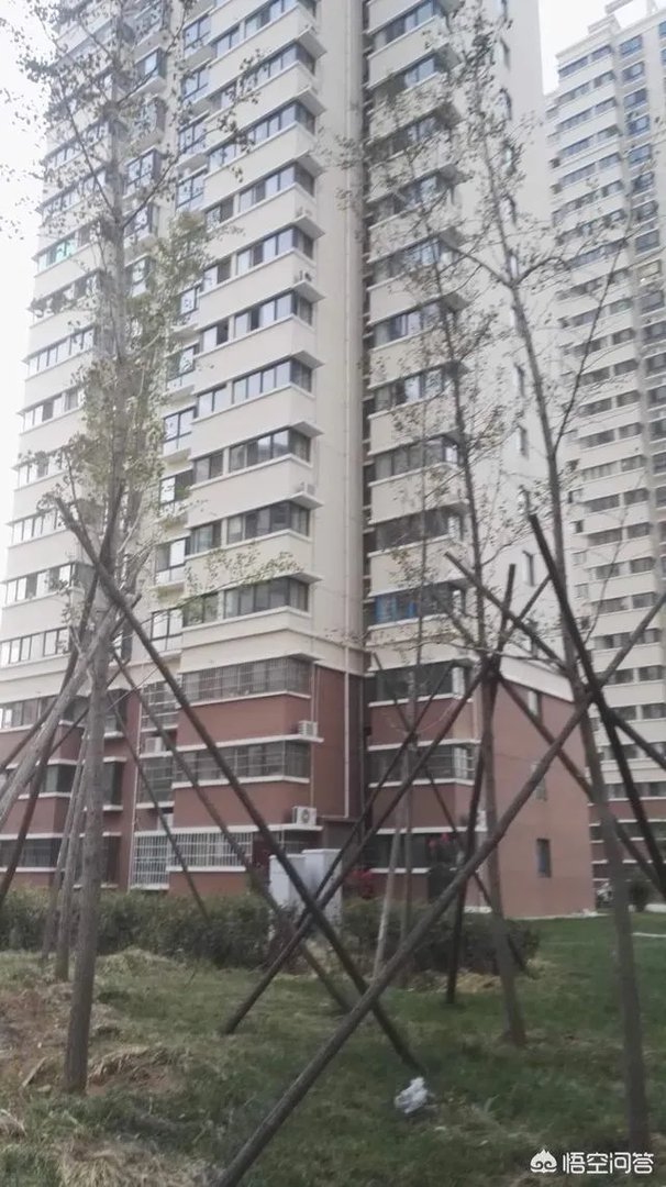 洛阳市有哪些知名小区