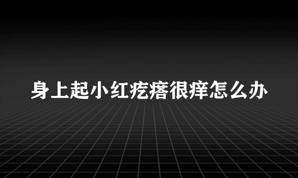 身上起小红疙瘩很痒怎么办