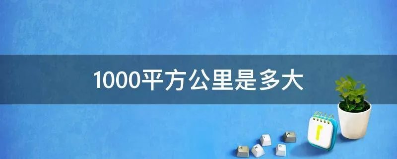 1000平方公里是多大