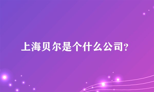 上海贝尔是个什么公司？