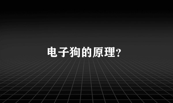 电子狗的原理？